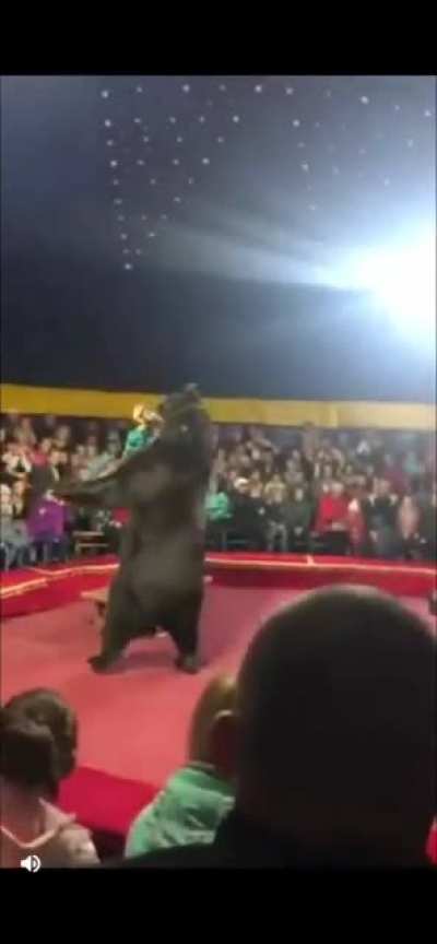 Bear 1- Human 0