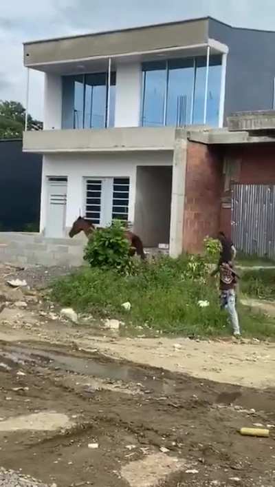 adivina el pais