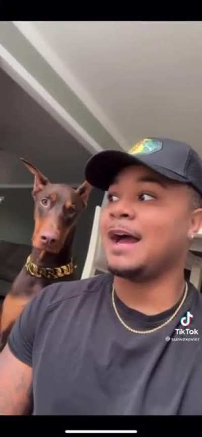 Who would do that to a dog?