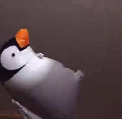 a u o ae a u o ae a u o ae