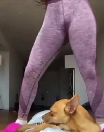 It's time to yogaaaaahhh