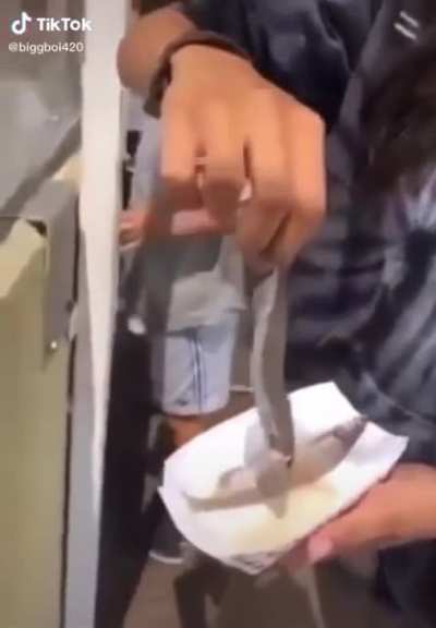 🦭🔊