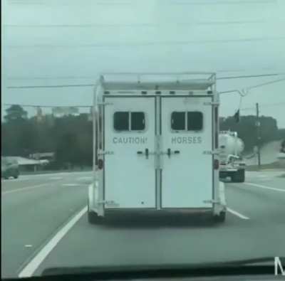 Caution horses