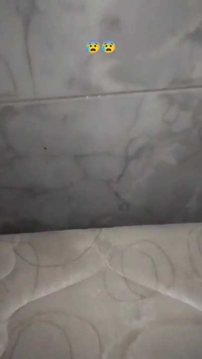 Korkudan yarısında kapattım videoyu
