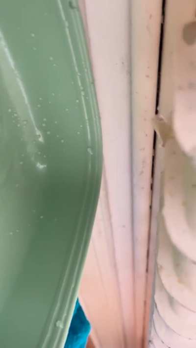 Turned Radiator on and now it won’t stopped leaking