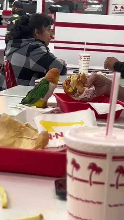 Perfect dinner date