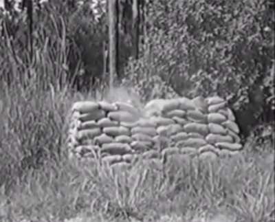 Sandbags.mp4