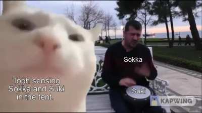 Netflix Live-Action be like: