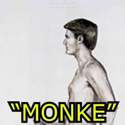 Monke