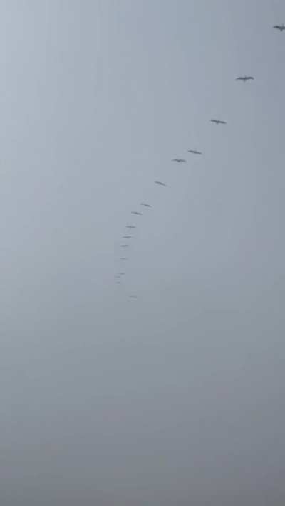 New prototype swarm being beta tested