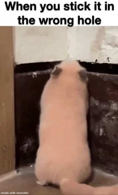 Oooooooopps