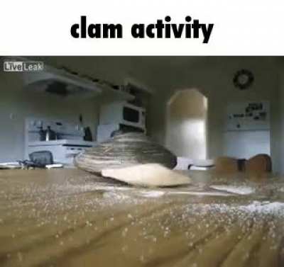 the clamma