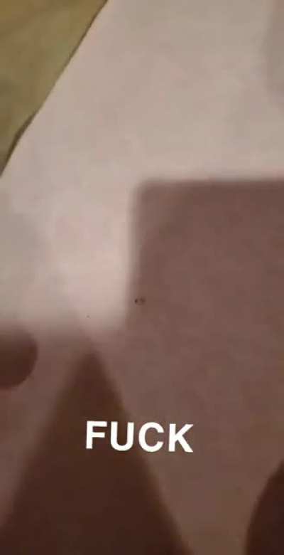 PUSH TO OPEN IT SAYS