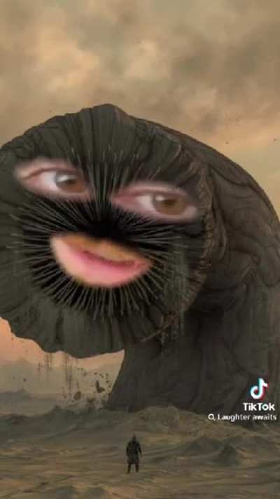 Pesky Paul