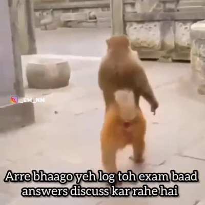 aise kaarne waale hijde hote hai