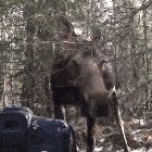 Добрый вечер!