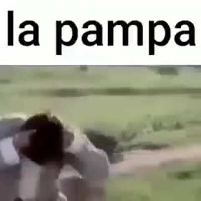 Confirman?
