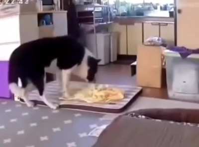 Deg