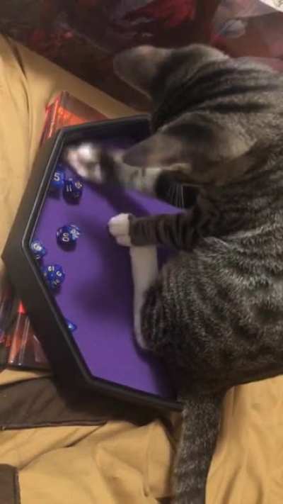 Roll for initiative