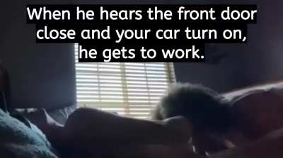 Porn Hardcore facefucking head held blowjob