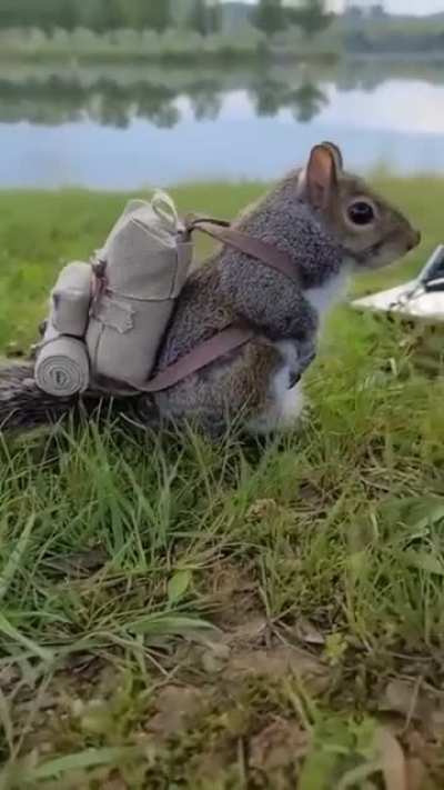 Camping