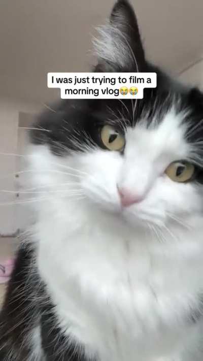 Best vlog ever