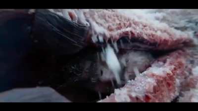I'm coming out of my (rib) cage and I'm feeling just fine