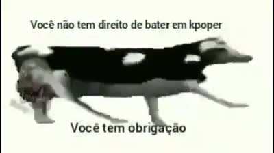 Você tem obrigação, seu arrombando 😠🖐️
