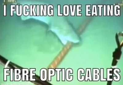 MMMMMMM