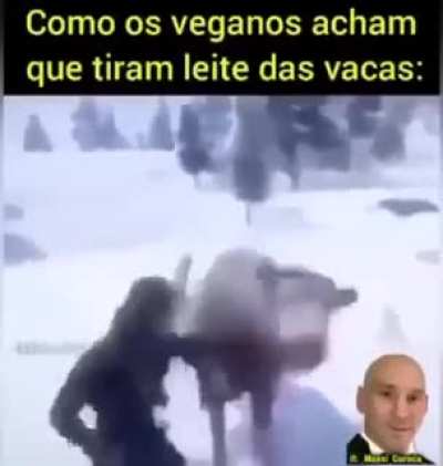Fato