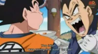 Damn it, Kakarot!!