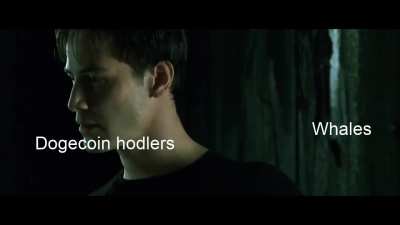 Hodling be like