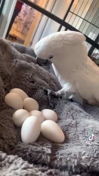 Hi baby! (Sound on)