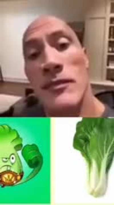 PvZ cock inspection 
