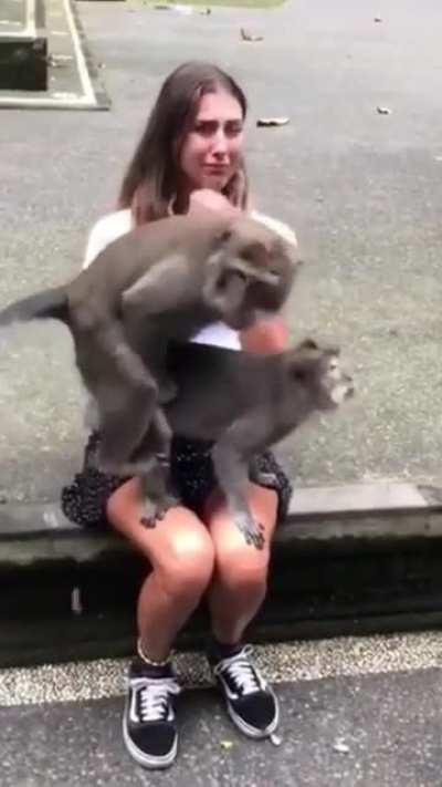 Monke Life