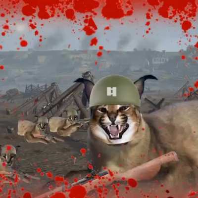 War
