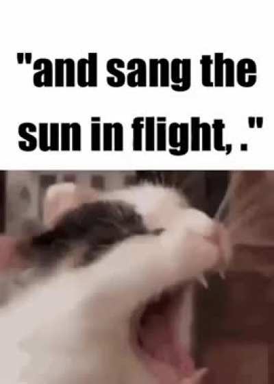 Just like me fr