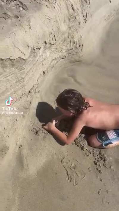Watch guys, what did he find?