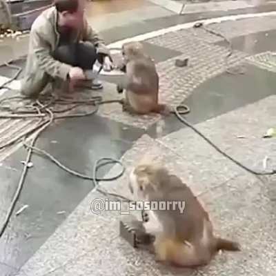 sik olum onun anasını