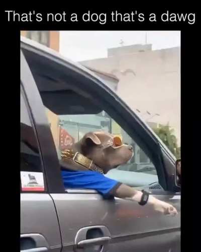 He is in full swag