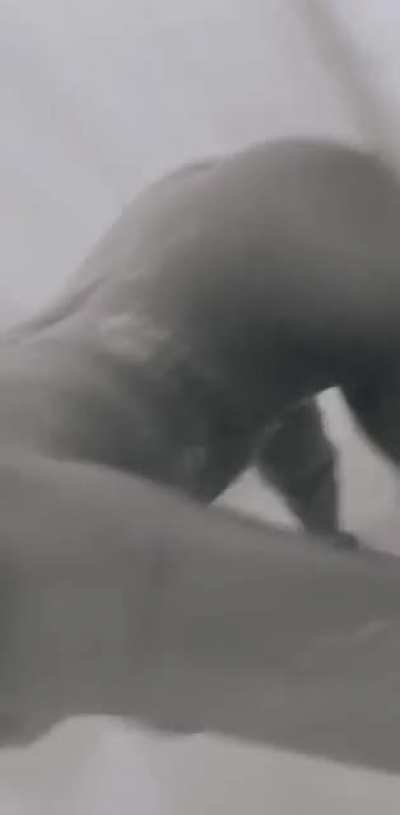 lulthotties - Video #3435
