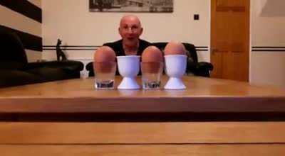 Eggcelent performance