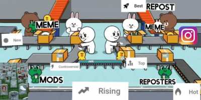 The meme life cycle