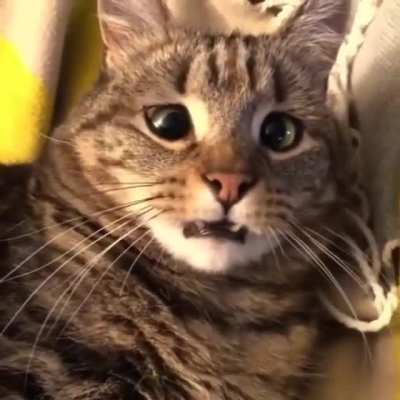 Huh? What's Going On?