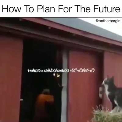 Purrfect