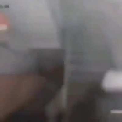 Bonk