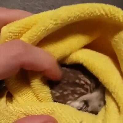 Keeping warm