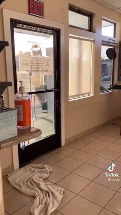 Old lady pounds on door and screams because the groomer isn’t open yet