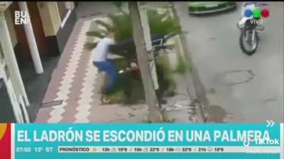 Los juegos nos han mentido...