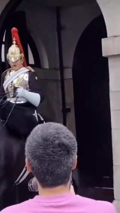 Queen's Guard scolds tourist for touching horse's reins